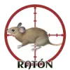 Raton
