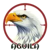 Aguila