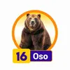 Oso