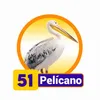 Pelicano