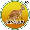 Canguro