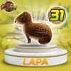 Lapa