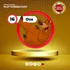 Oso