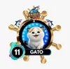 Gato