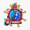 Burro