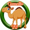 Camello