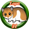 Lapa