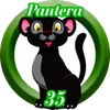Pantera