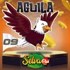 Aguila