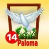 Paloma